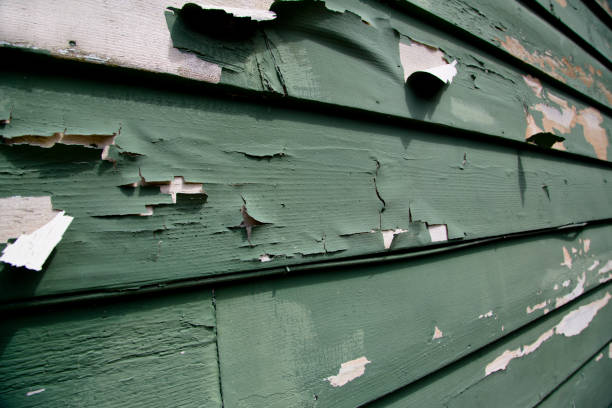 Best Stone Veneer Siding  in Whittingham, NJ