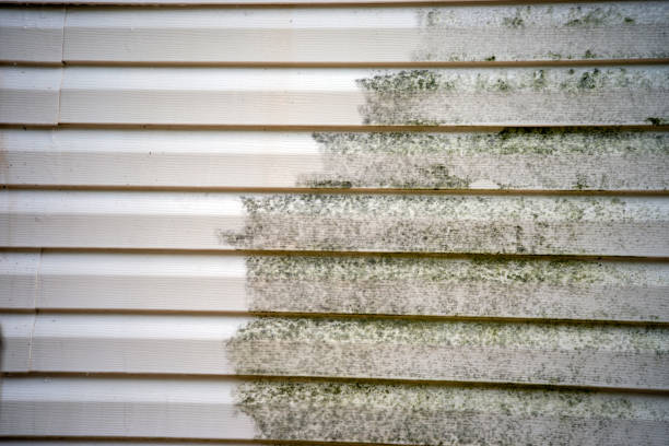 Best Stone Veneer Siding  in Whittingham, NJ