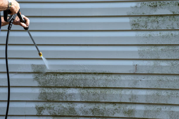 Best Wood Siding Installation  in Whittingham, NJ