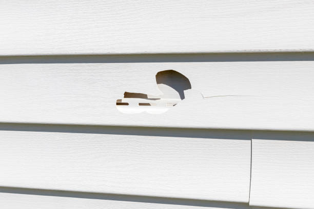 Custom Trim and Detailing for Siding in Whittingham, NJ