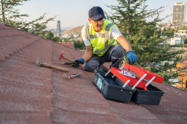Best Siding Painting and Refinishing  in Whittingham, NJ