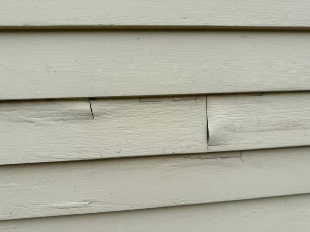Best Custom Trim and Detailing for Siding  in Whittingham, NJ